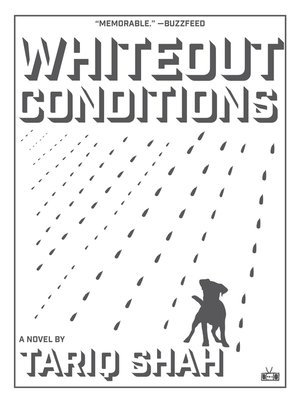 cover image of Whiteout Conditions